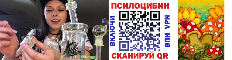 Псилоцибиновые грибы прущие грибы  Новый Уренгой 